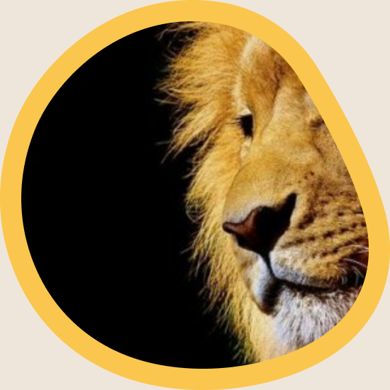 TripleFunds 12 Months Premium TripleFunds